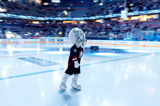 Linköpings maskot Ture