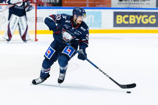 Linköpings Adam Hofbauer