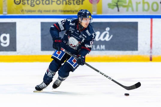 Linköpings Markus Ljungh