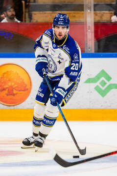 Leksands Nolan Stevens