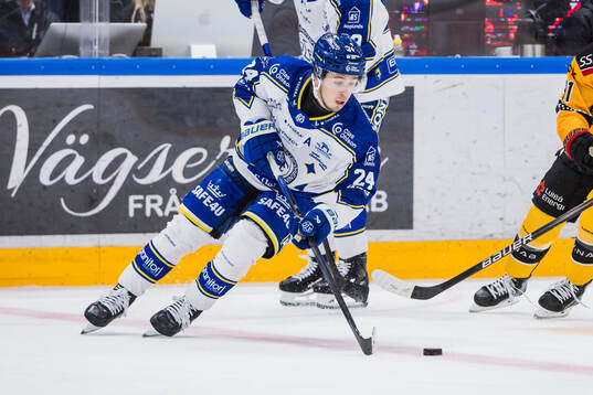Leksands Arvid Eljas
