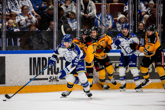 Leksands Nolan Stevens