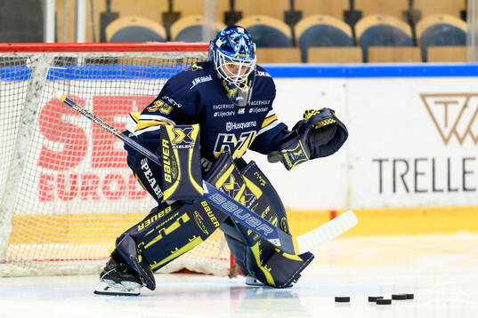 HV71s målvakt Stephanie Neatby