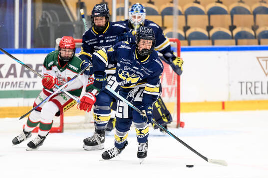 HV71s Meja Andersson