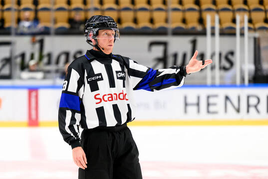 Domare Mikael Holm