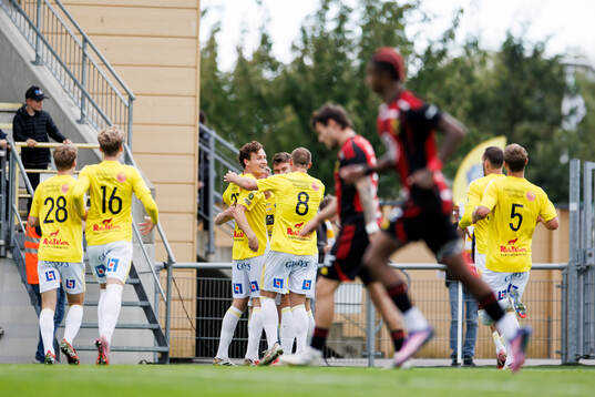 Falkenbergs spelare jublar