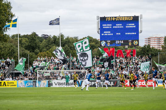Hammarby supportrarna
