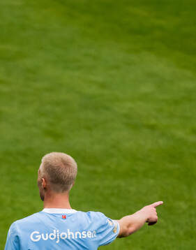 Malmö FFs Daniel Gudjohnsen