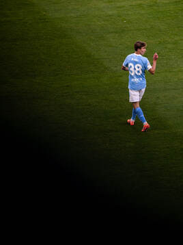 Malmö FFs Hugo Bolin