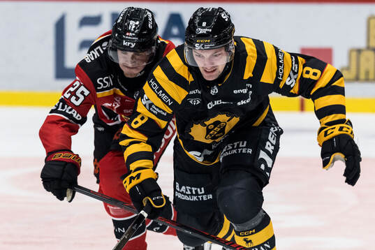 Luleås Filip Eriksson och Skellefteås Oliver Okuliar