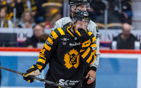 Skellefteås Jonathan Pudas deppar