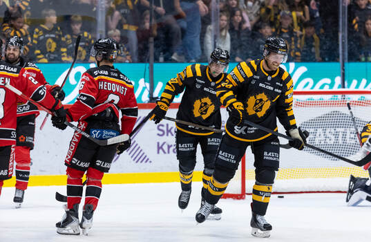 Skellefteås Emil Djuse och Oscar Lindberg deppar