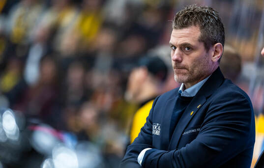 Skellefteås tränare Daniel Hermansson