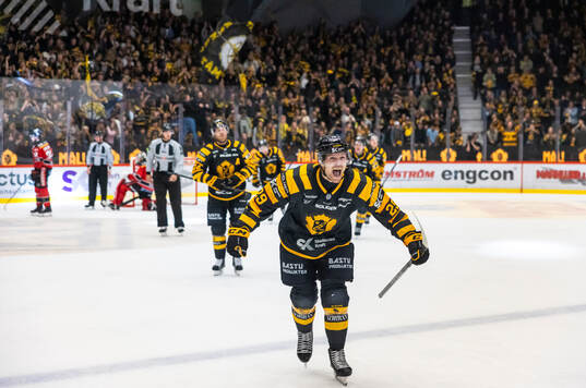 Bläddra bland fler bilder av Ishockey, SHL, Skellefteå - Luleå