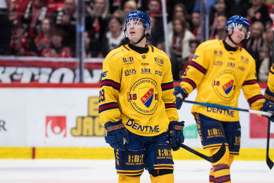 Djurgårdens Håvard Salsten deppar