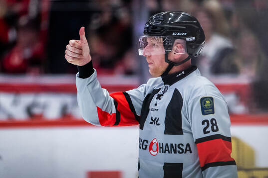 Domare Mikael Holm gör tummen upp