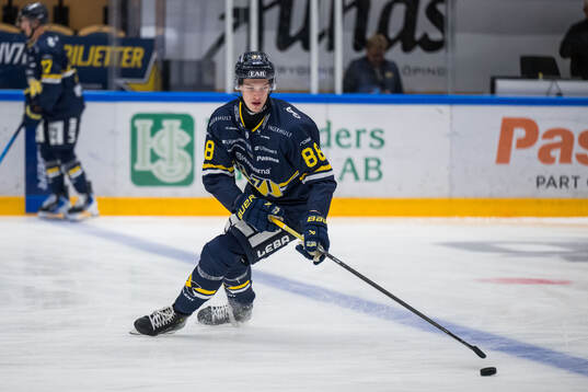 HV71s Vashek Blanar