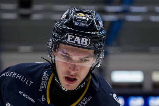 HV71s Vashek Blanar