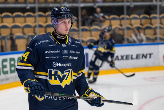 HV71s Noel Skarby