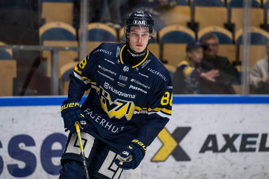 HV71s Vashek Blanar