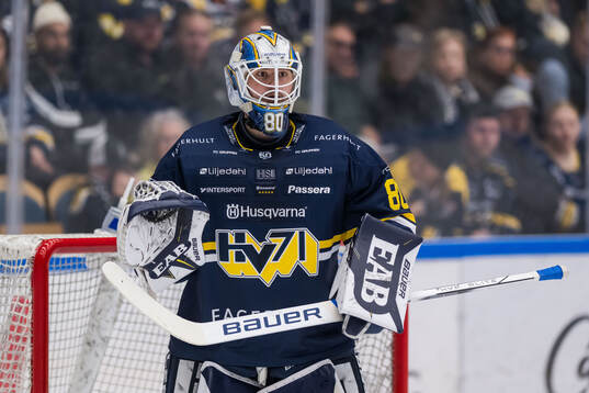 HV71s målvakt Frederik Dichow