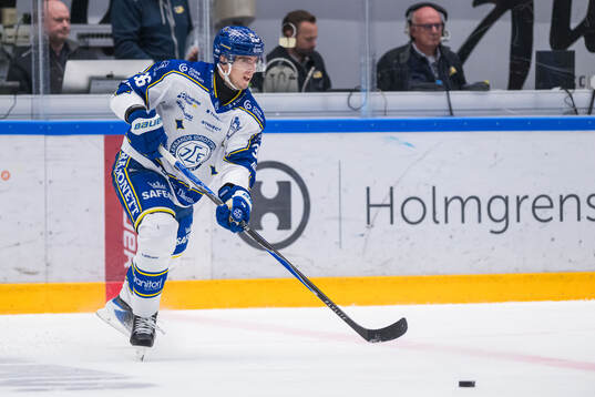 Leksands Stefan Milosevic