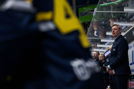 HV71s tränare Anton Blomqvist
