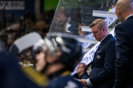HV71s tränare Anton Blomqvist