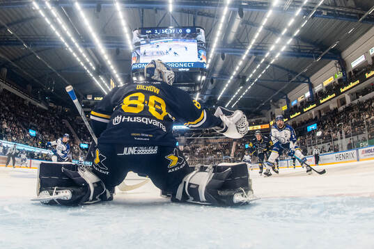 HV71s målvakt Frederik Dichow