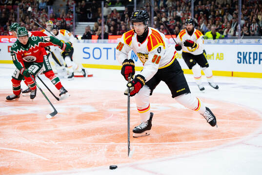 Brynäs Linus Ölund