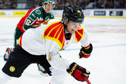 Brynäs Mattias Norlinder