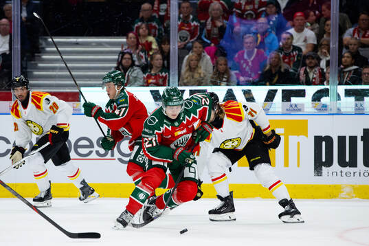 Frölundas Theodor Niederbach och Brynäs Axel