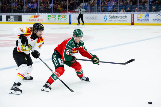 Brynäs Axel Jonsson-Fjällby och Frölundas Filip Hasa