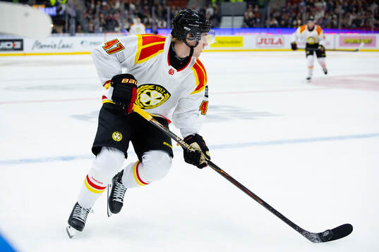 Brynäs Lucas Pettersson