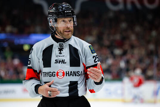 Domare Tobias Björk