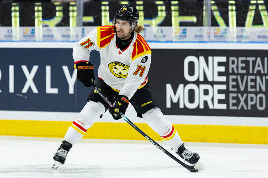 Brynäs Axel Jonsson-Fjällby