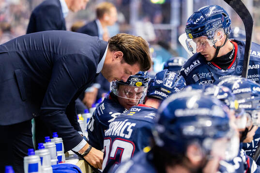 Linköpings assisterande tränare Mattias Zackrisson och
