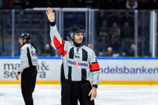 Domare Richard Magnusson
