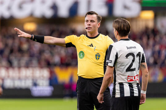 Domare Niclas Karlsson