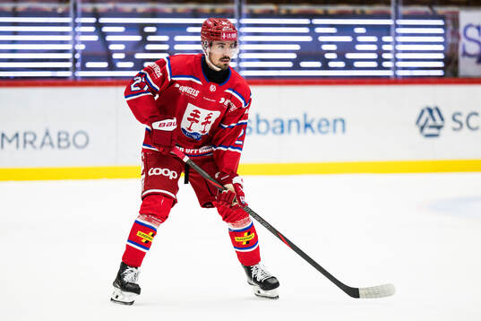 Timrås Ludvig Levinsson