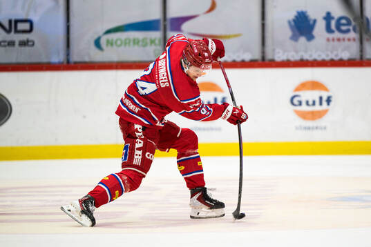 Timrås Sebastian Hartmann