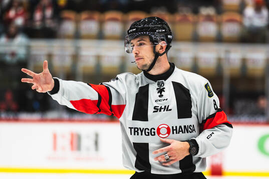 Domare Oscar Niklasson