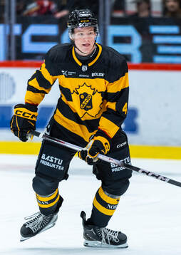 Skellefteås Rasmus Bergqvist