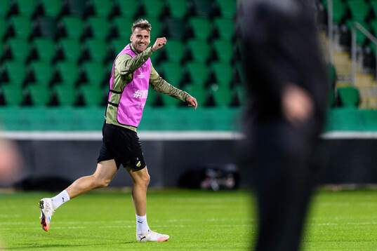 Johan Hammar celebrates