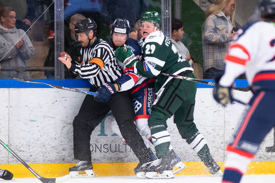Domare Robin Werner, Halmstads Tom Johansson  och Tingsryds