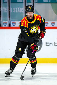 Brynäs Greg Scott