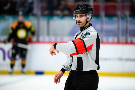 Domare Richard Magnusson