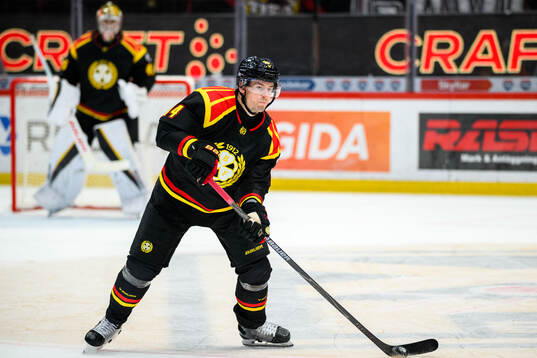 Brynäs Robert Hägg