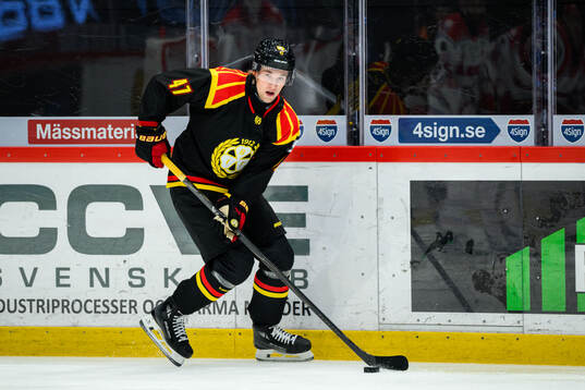 Brynäs Lucas Pettersson