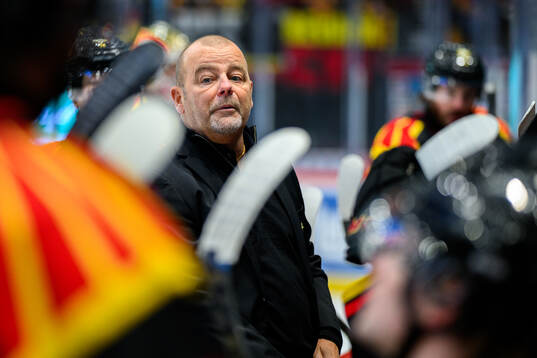 Brynäs tränare Niklas Gällstedt
